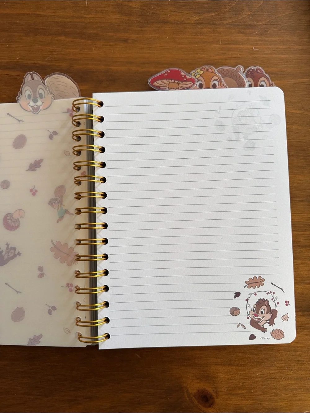 Disney Chip 'n' Dale Fall Leaf Spiral Notebook – Brown & Gold